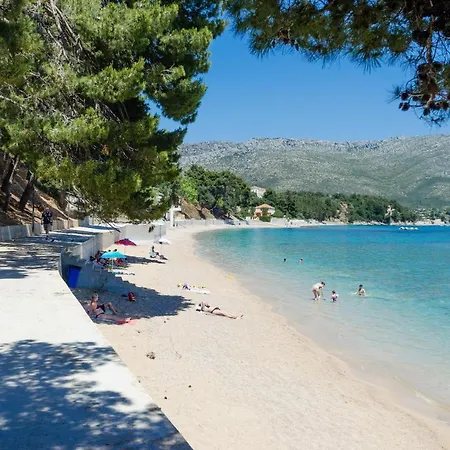 Stefan * أوروبيتش